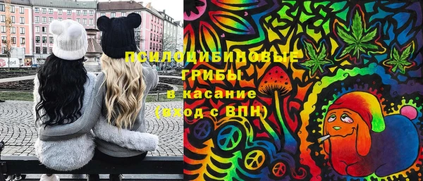 СК Абинск