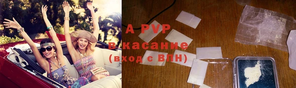 СК Абинск