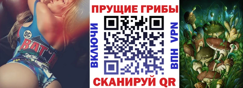 Галлюциногенные грибы MAGIC MUSHROOMS Щучье